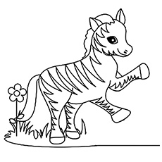 Top free printable zebra coloring pages online