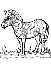 Zebra coloring pages and printable activities
