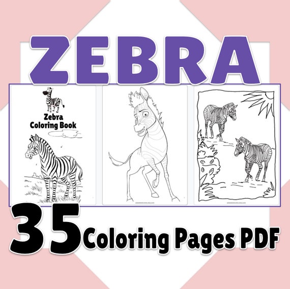 Zebra coloring pages printable zebra coloring book page pdf birthday activity party favor digital coloring sheets best gift for kids