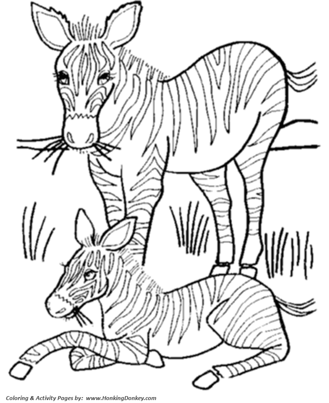 Wild animal coloring pages mother and baby zebra coloring page and kids activity sheet