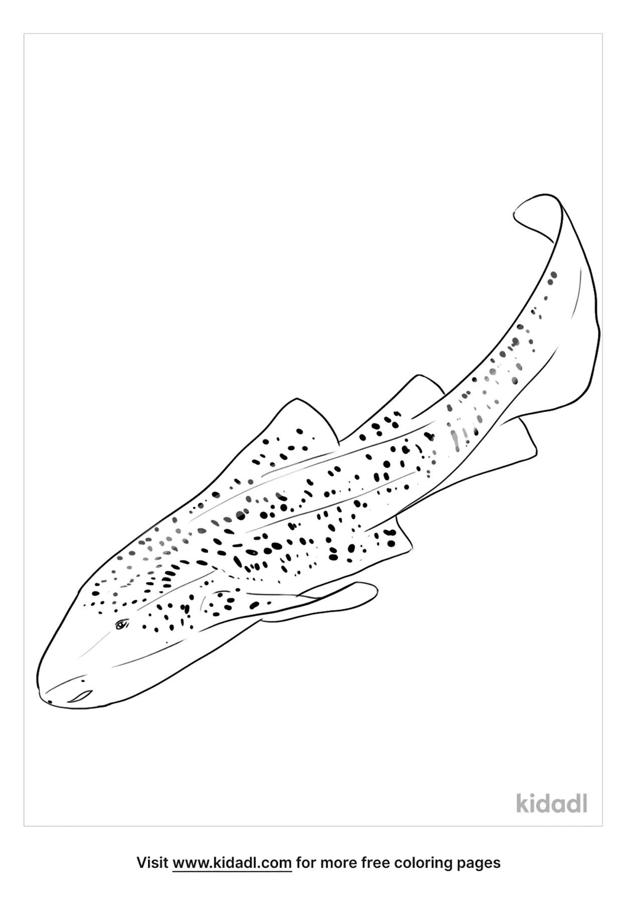 Free zebra shark coloring page coloring page printables