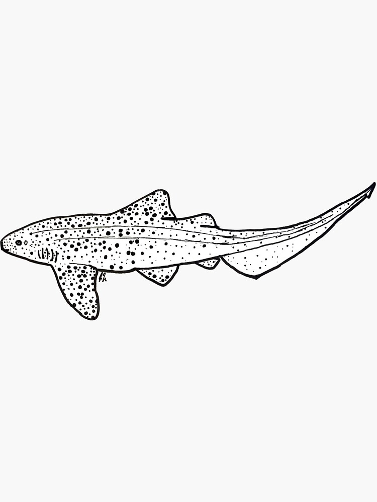 Zebra shark sticker for sale by thenyceshop