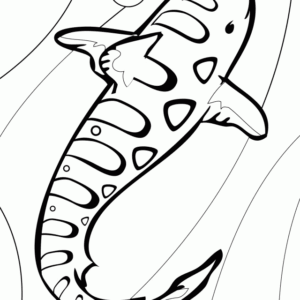 Shark coloring pages printable for free download