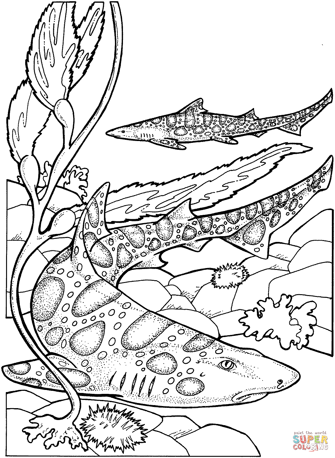 Leopard sharks coloring page free printable coloring pages