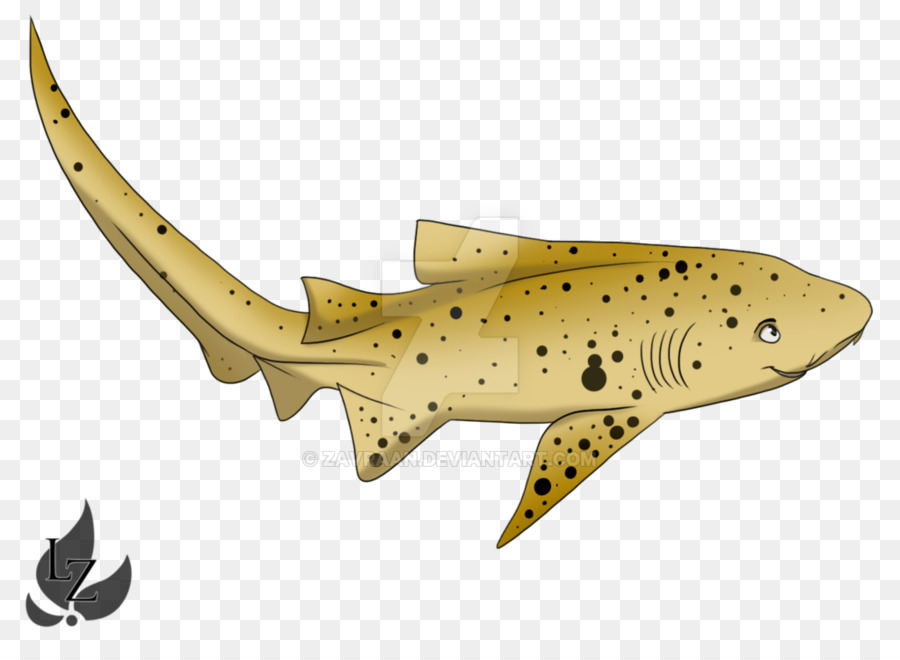 Shark cartoon png download