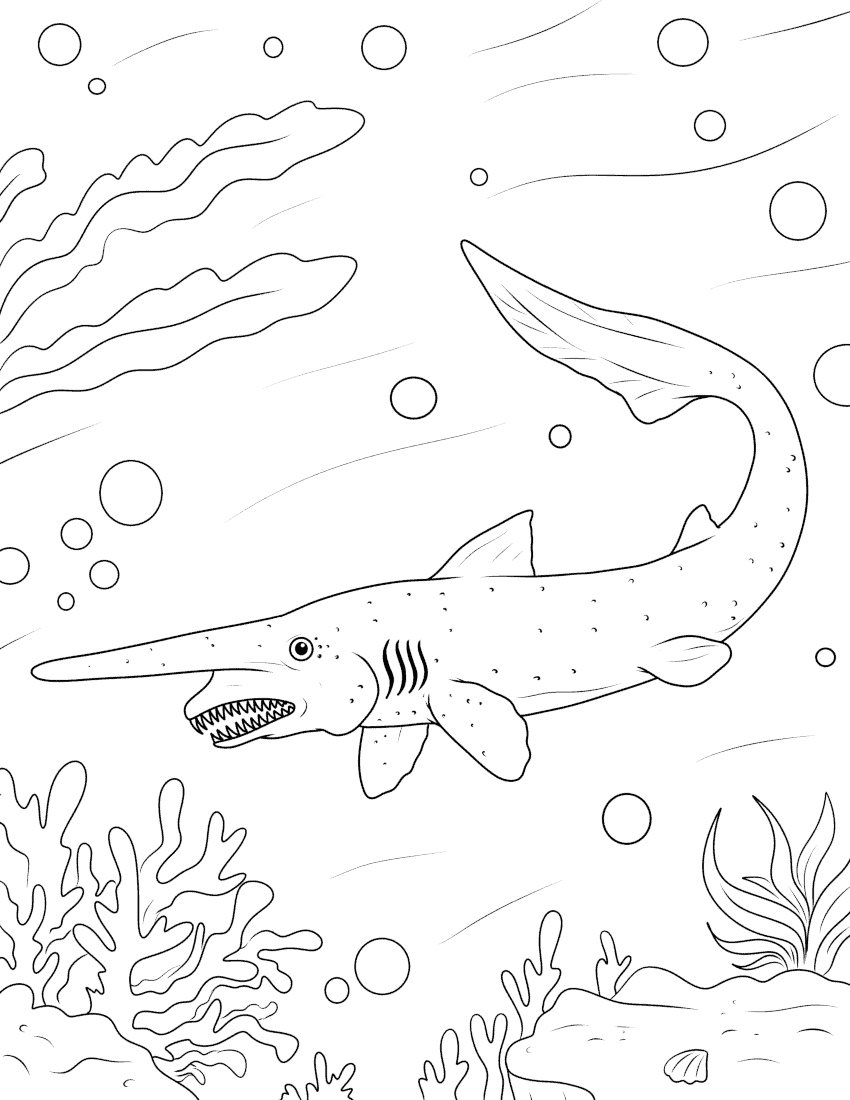 Shark coloring pages