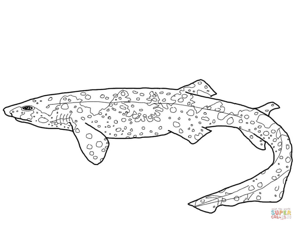 Swell shark coloring page free printable coloring pages