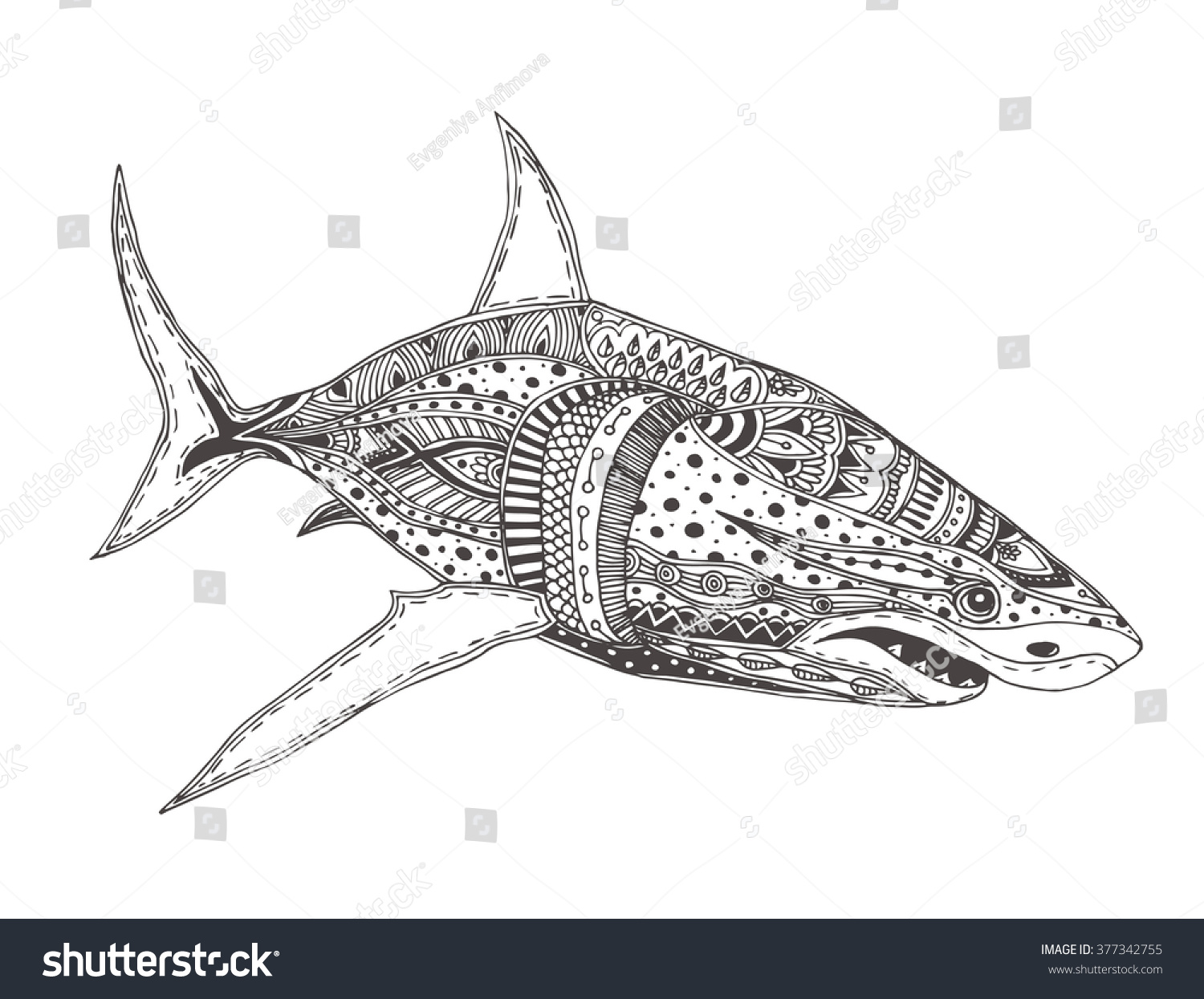 Zentangle shark images stock photos d objects vectors