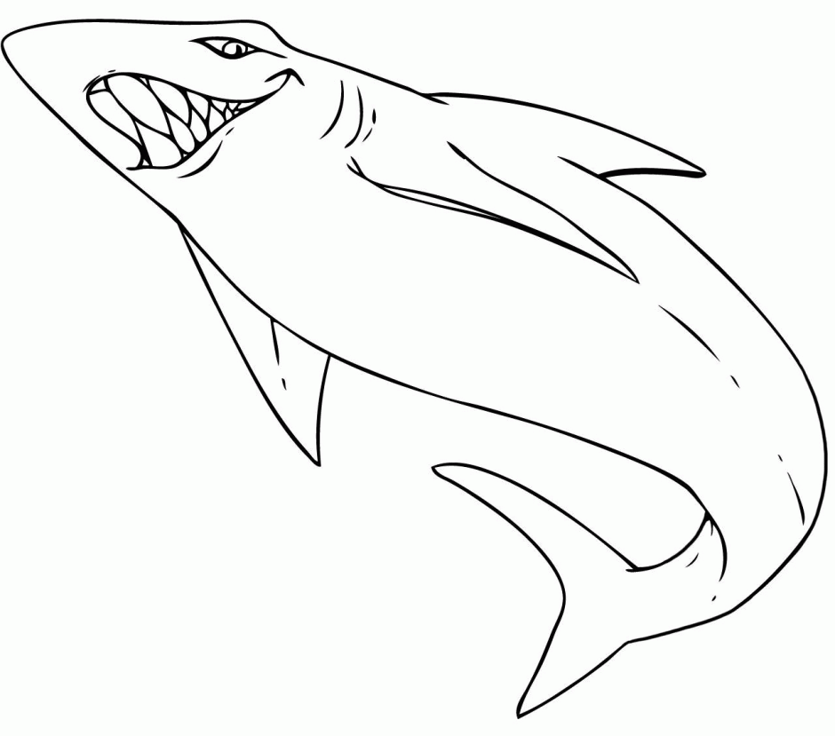 Zebra shark coloring page