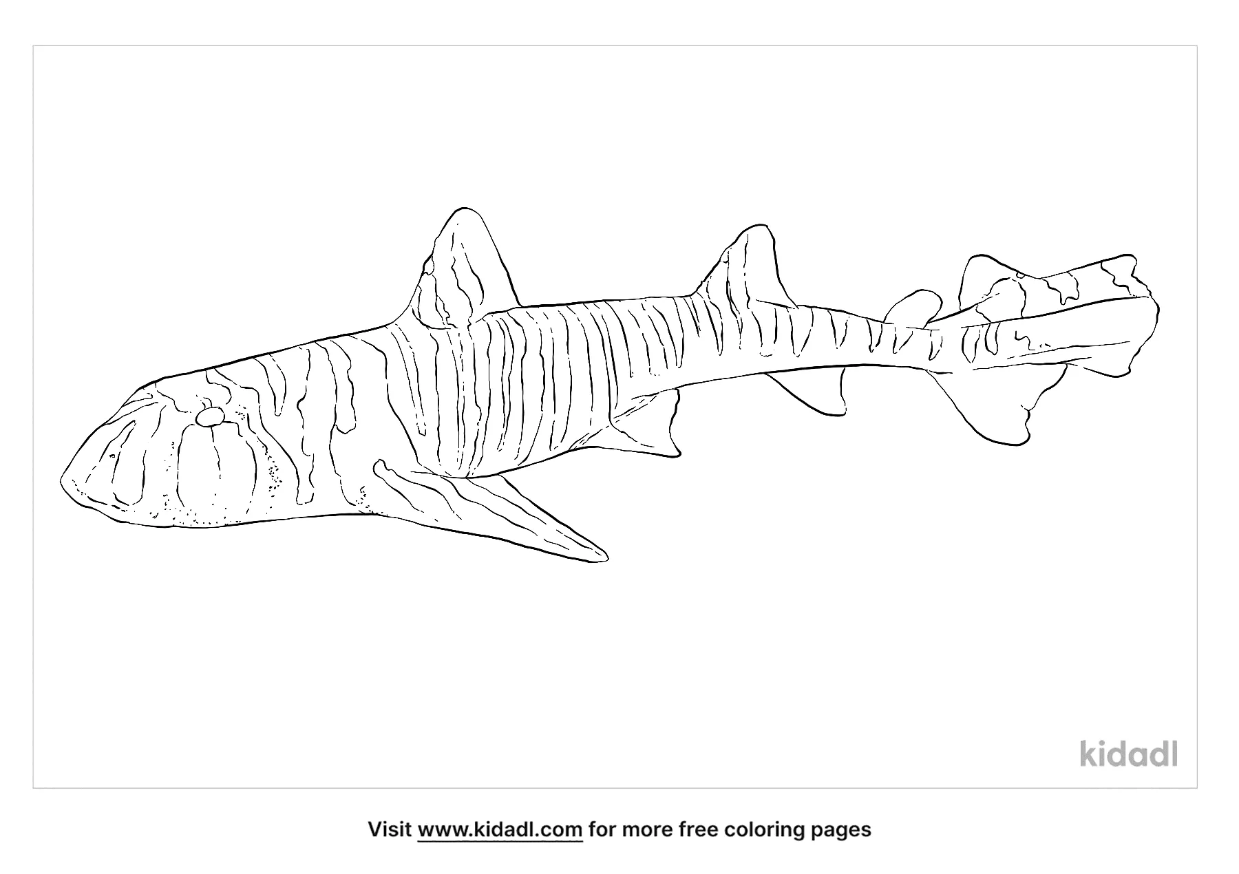 Free zebra bullhead shark coloring page coloring page printables