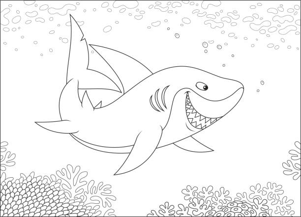 Grey reef shark stock illustrations royalty