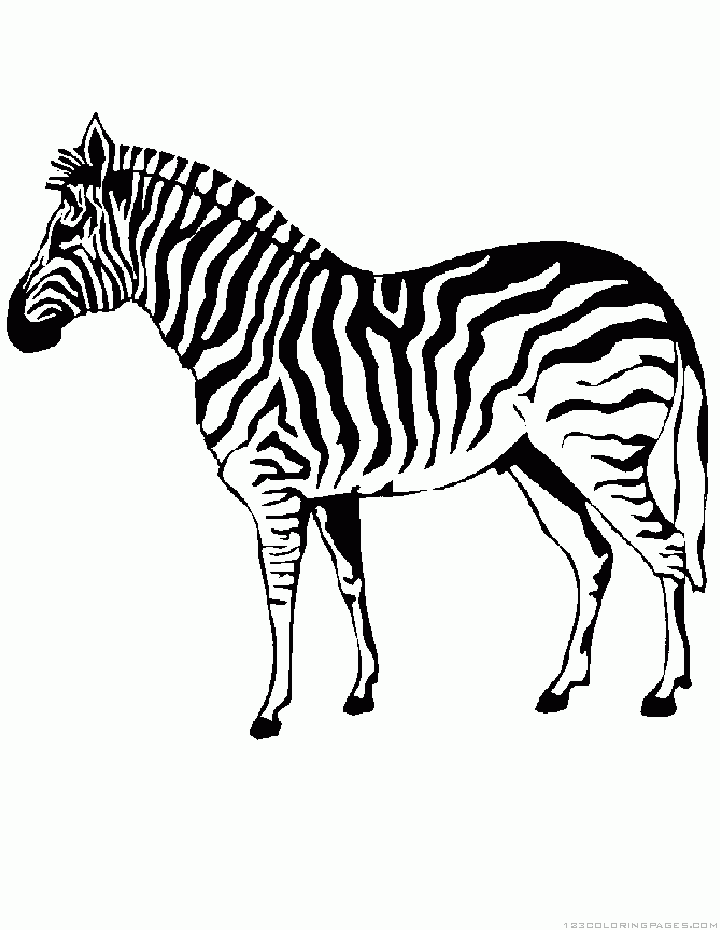 Zebra coloring pages