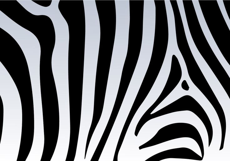 Zebra print vector background pieles de animales animales para imprimir patrãn de fondo