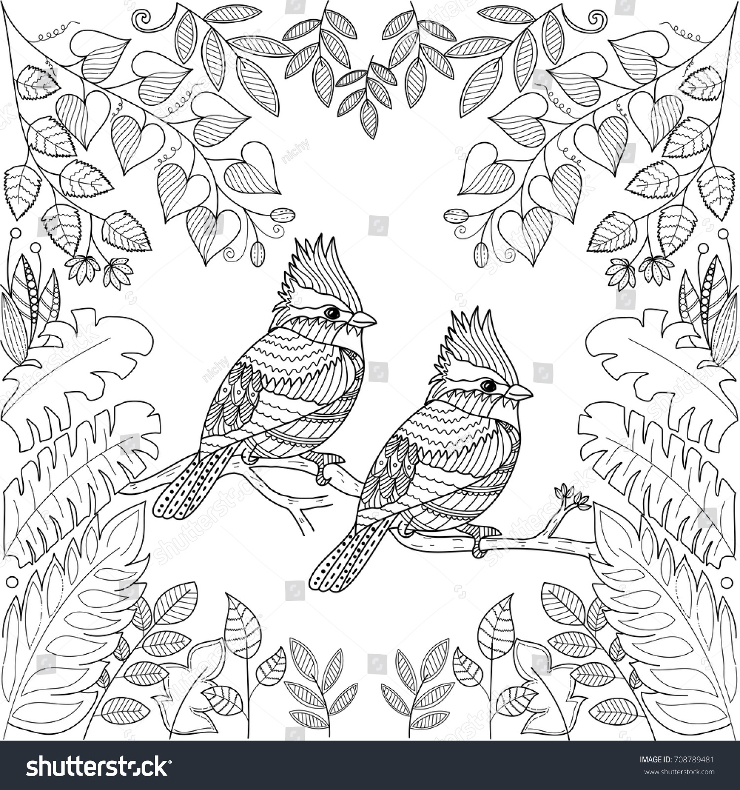 Tropical birds adult coloring book pagezentangle stock vector royalty free