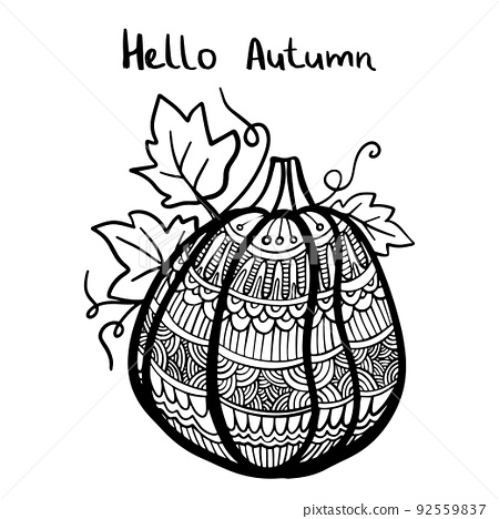 Vector hand drawn illustration of a pumpkin