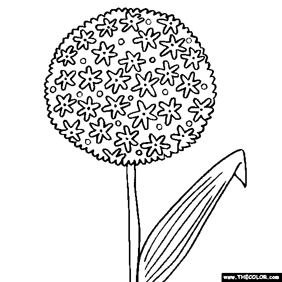 Flower coloring pages color flowers online