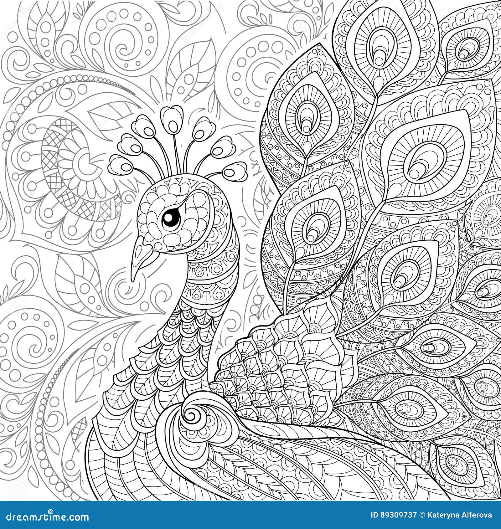 Peacock in zentangle style adult antistress coloring page stock vector