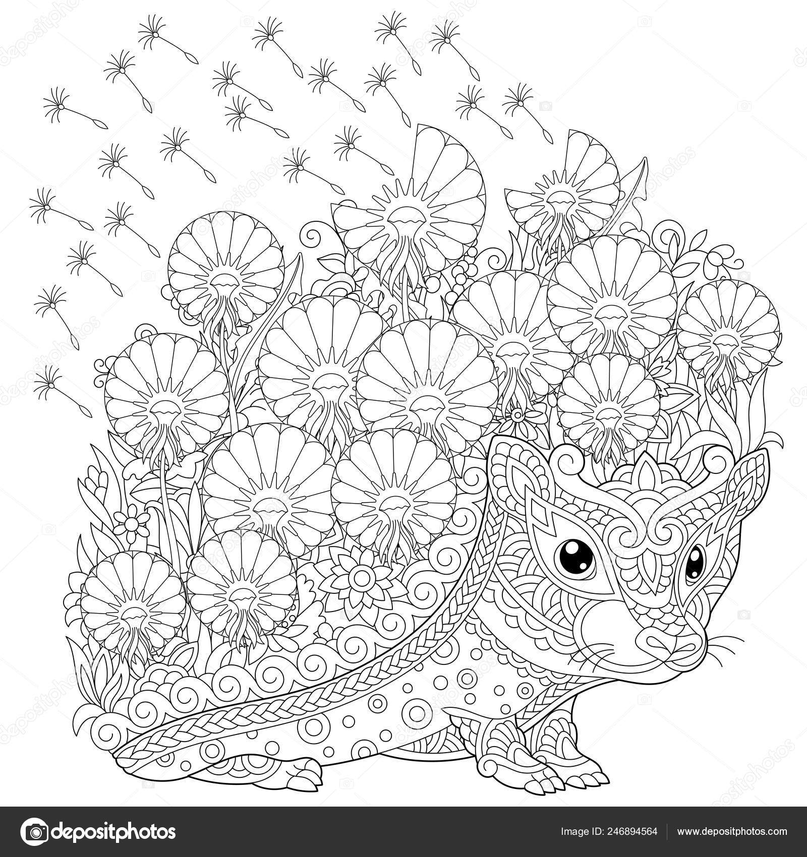 Zentangle coloring page colouring picture hedgehog spring flowers freehand sketch stock vector by sybirko