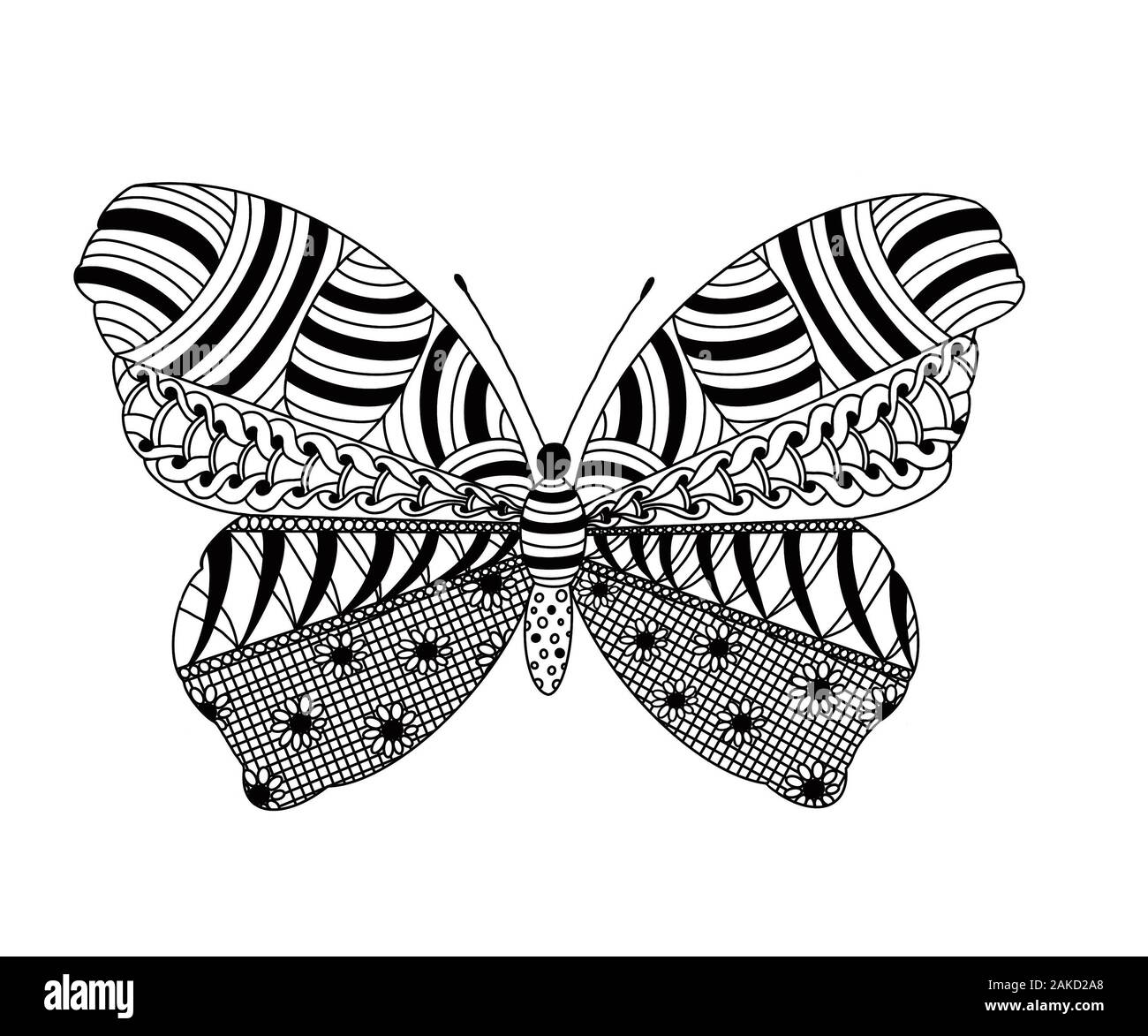 Coloring from zentangle patterns in the form of a butterfly application in printed materials creating coloring pages for children and adults stock photo