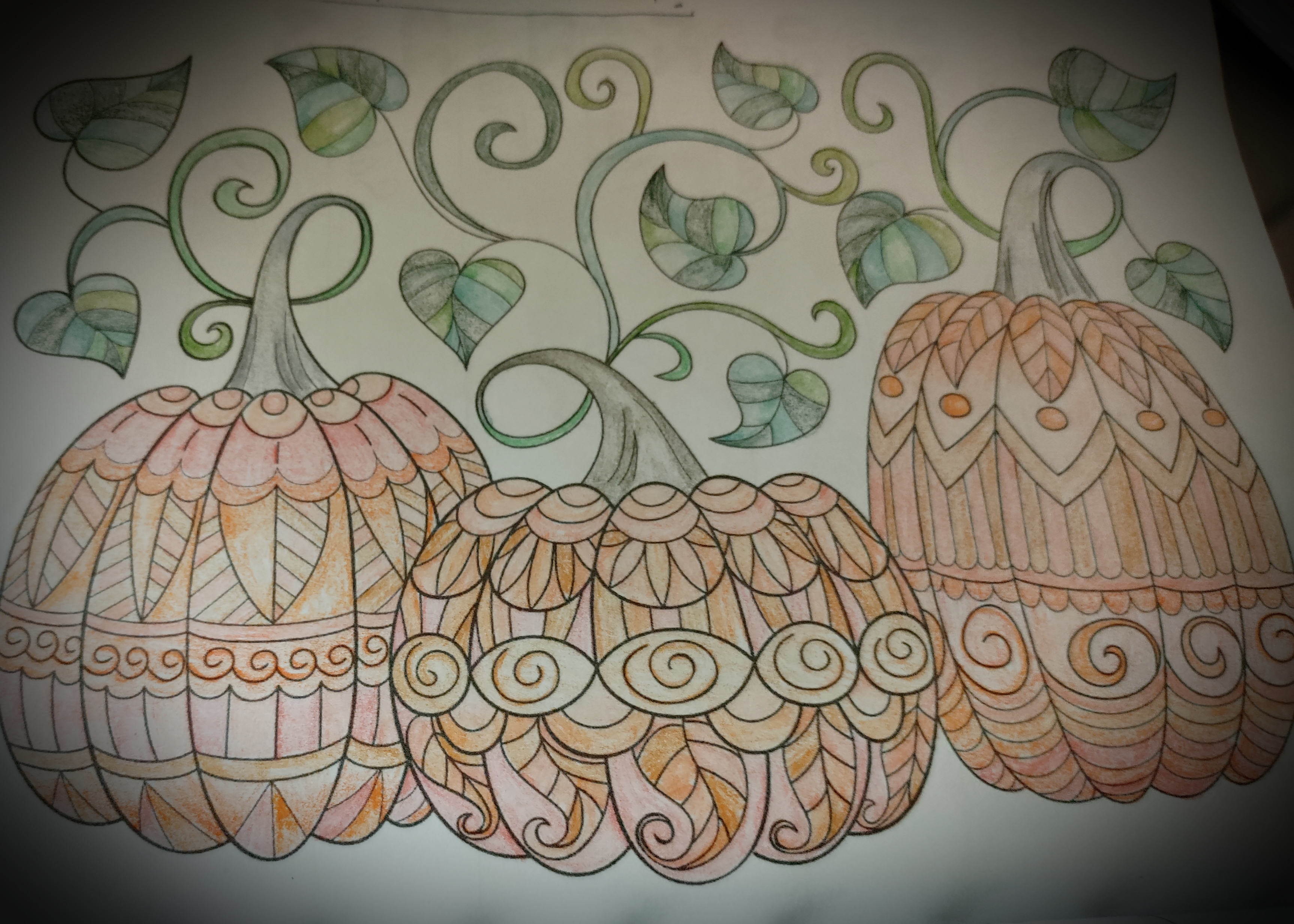 Pumpkins by rebekah on