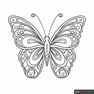 Zentangle butterfly coloring page easy drawing guides