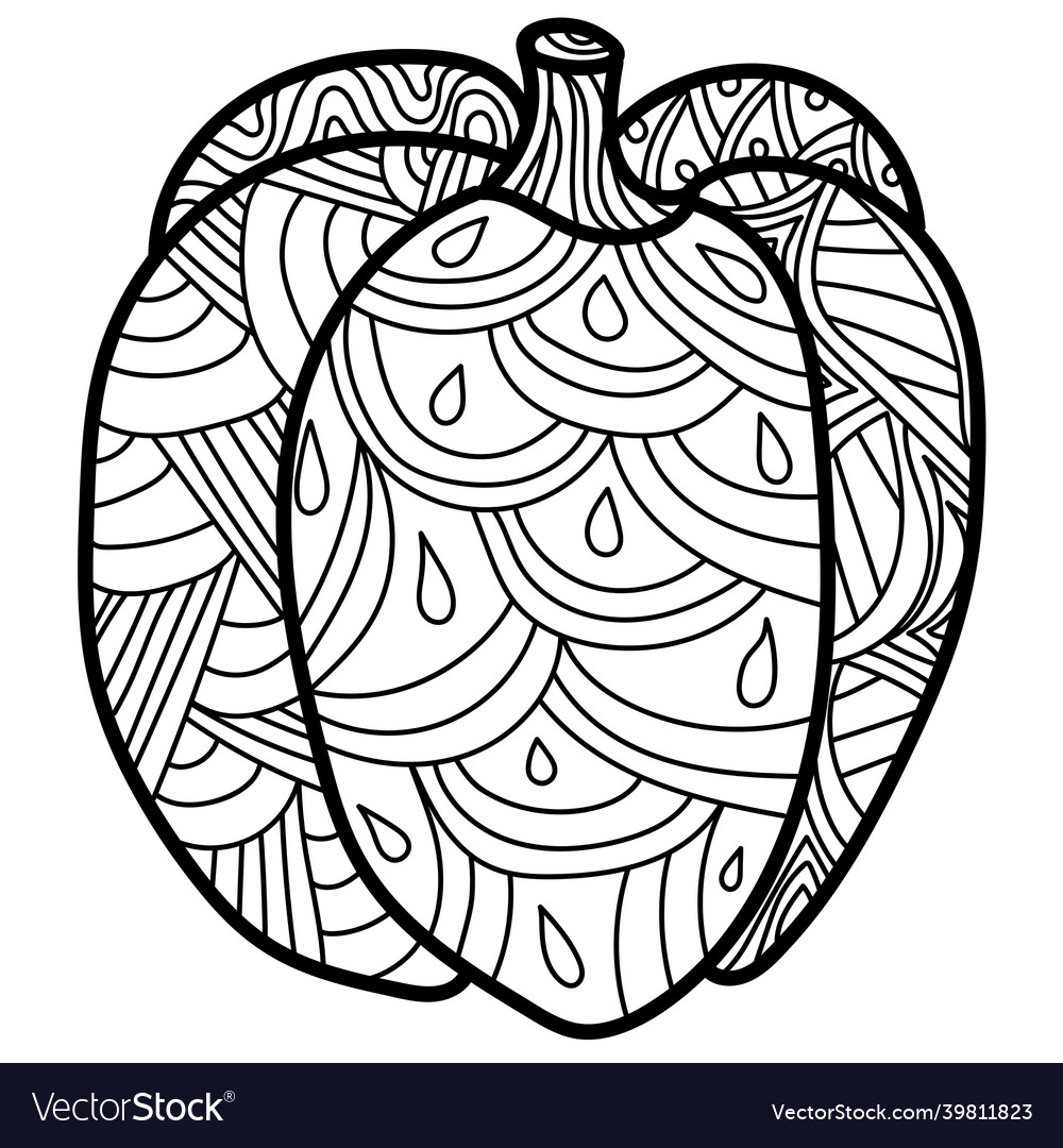 Pumpkin with fantasy patterns ornate coloring vector image