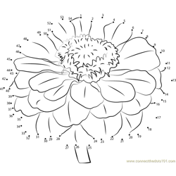 Zinnia connect the dots worksheets printable for kids