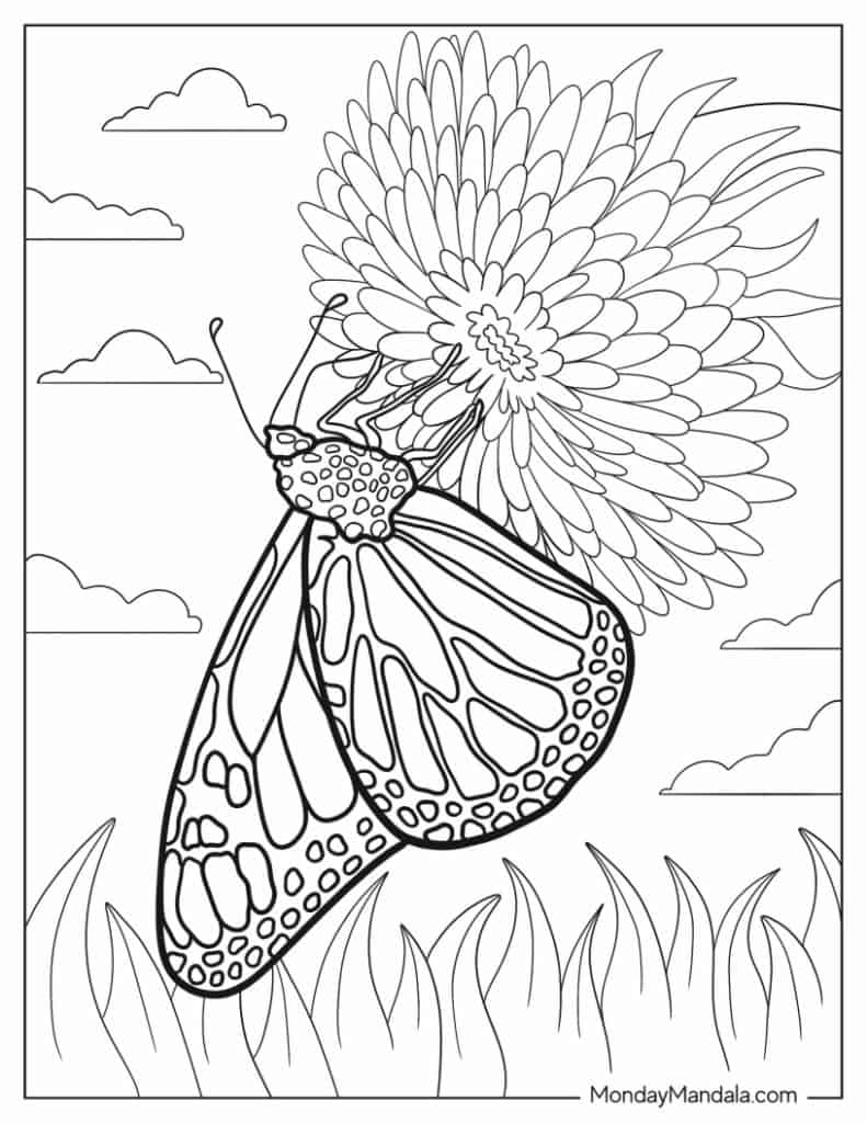 Butterfly coloring pages free pdf printables