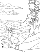 Zion national park coloring page free printable coloring pages