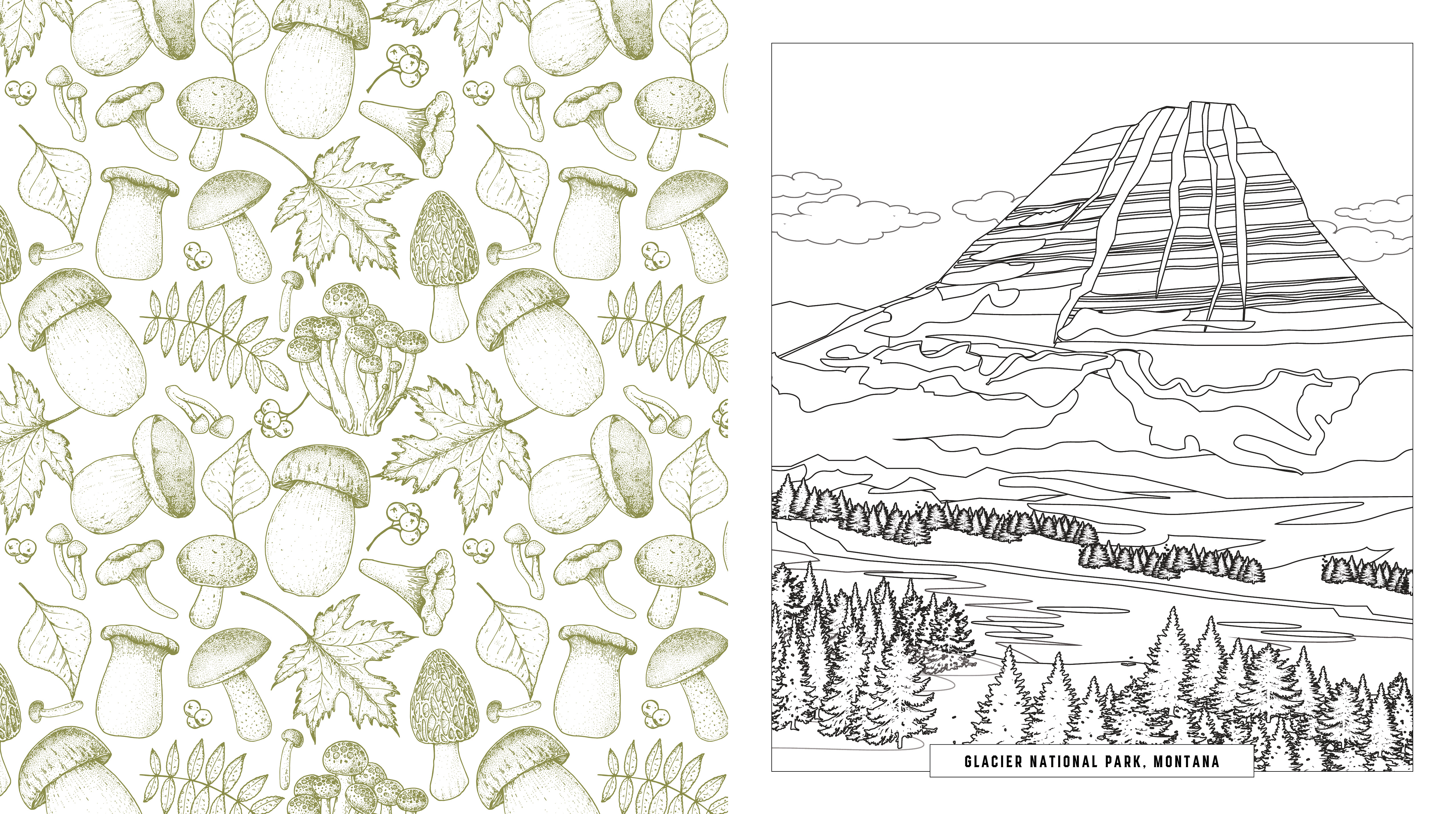 National parks coloring book by editors of chartwell books at a glance the group