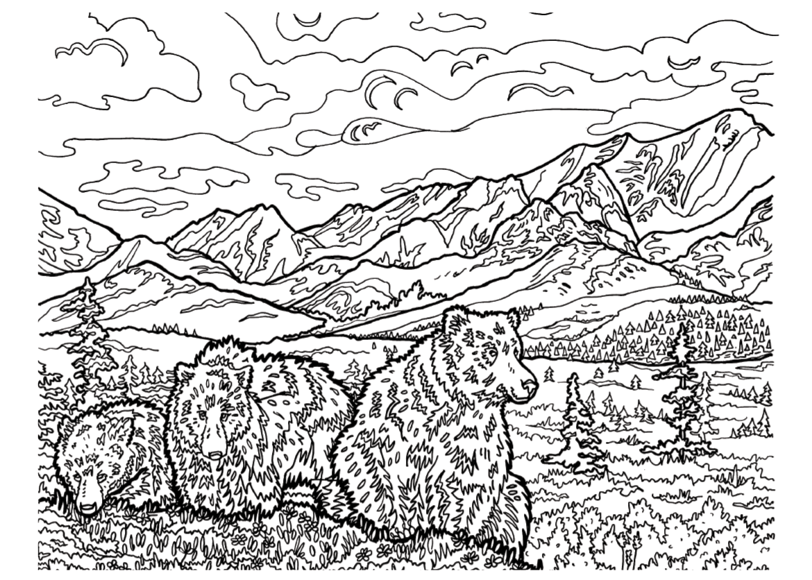 Color the great outdoors sierra club outings