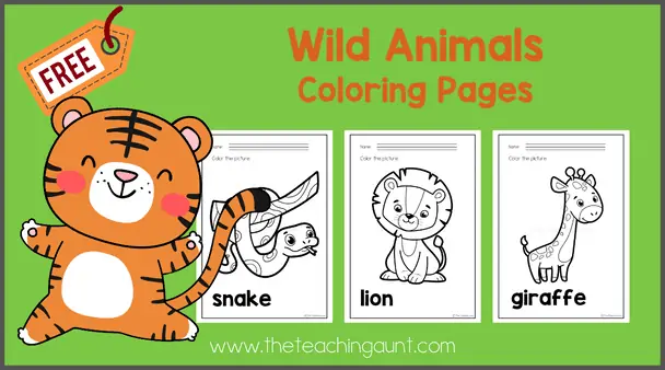 Wild animals coloring pages