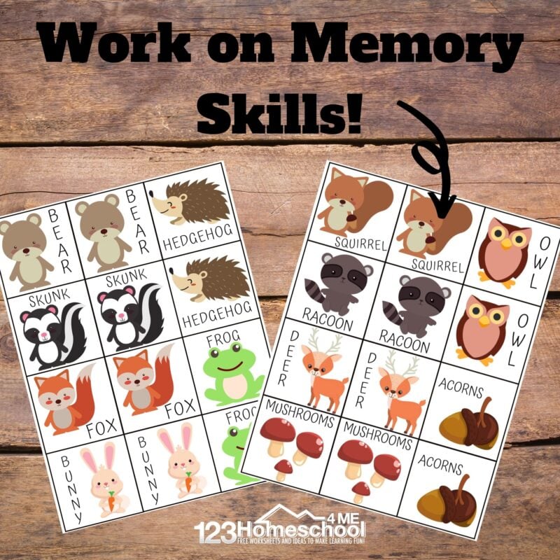 Ððð free animal matching game