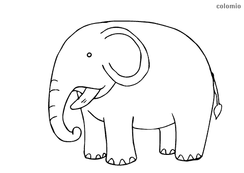 Zoo animals coloring pages free printable zoo coloring sheets