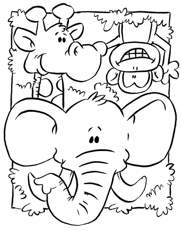 Wild animal coloring pages