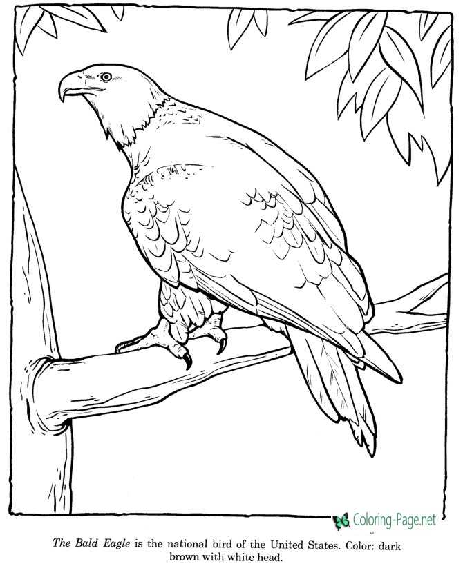 Zoo coloring pages