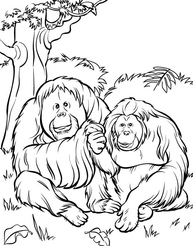 Free printable zoo coloring pages for kids