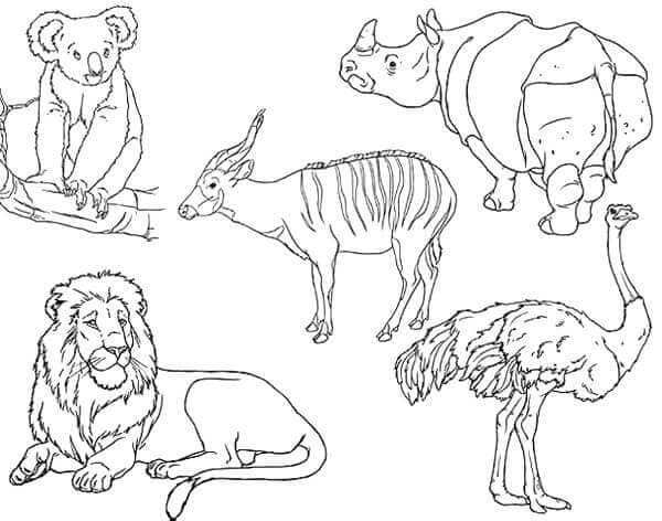 Free printable zoo coloring pages pdf