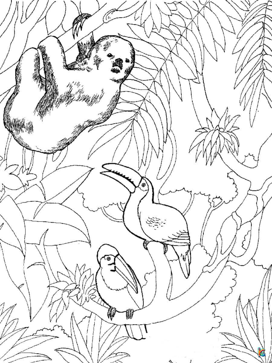 Zoo coloring pages â