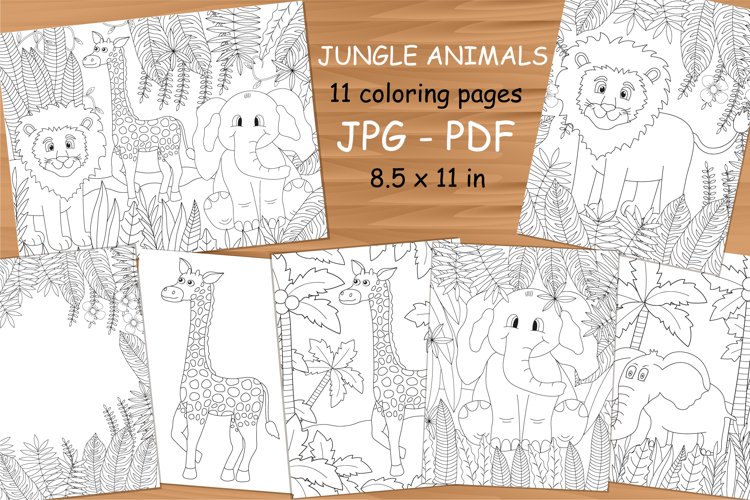 Zoo coloring pages design bundles