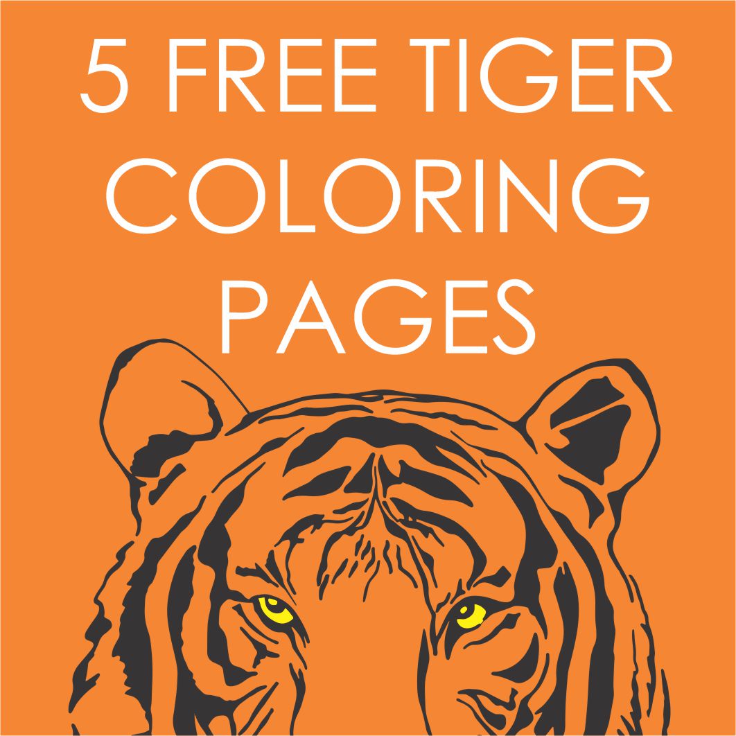Tiger coloring pages