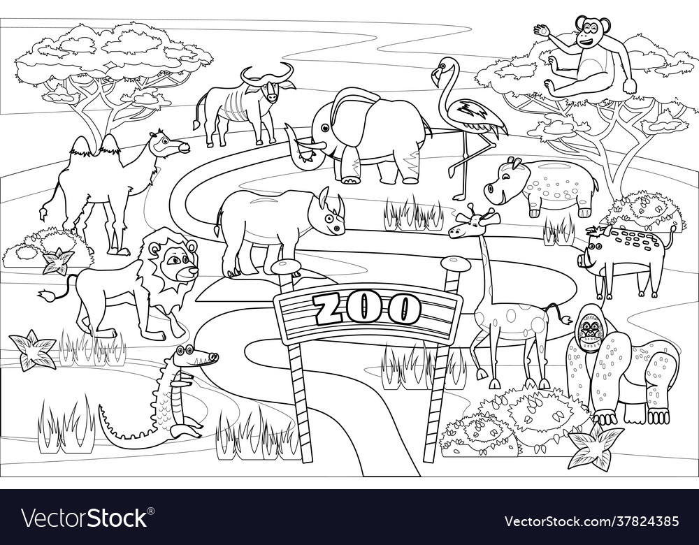 Zoo jungle safari animals coloring book royalty free vector