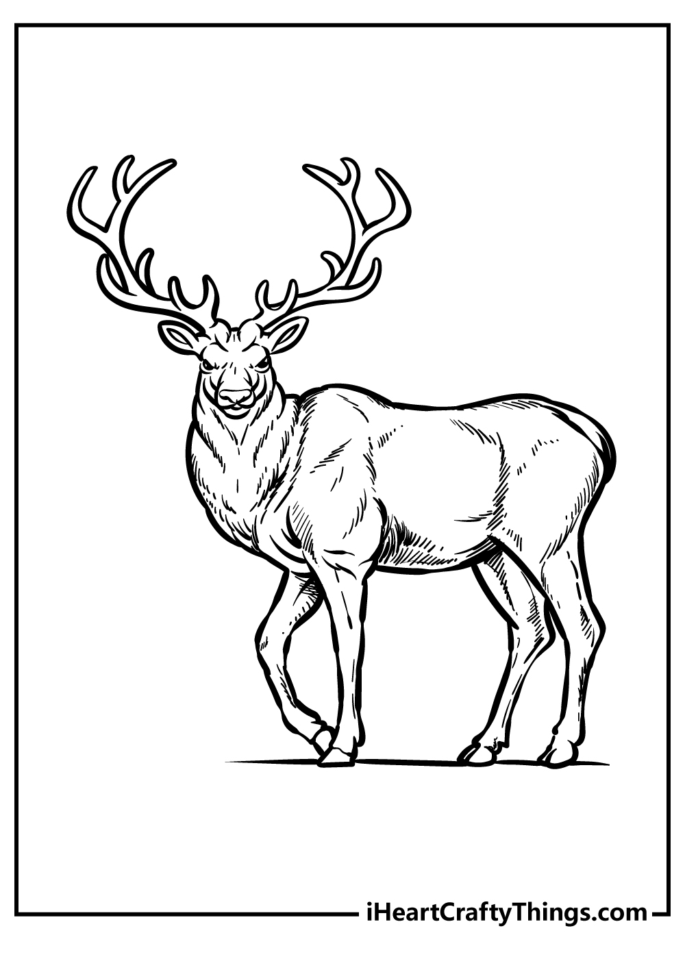 Zoo animals coloring pages free printables