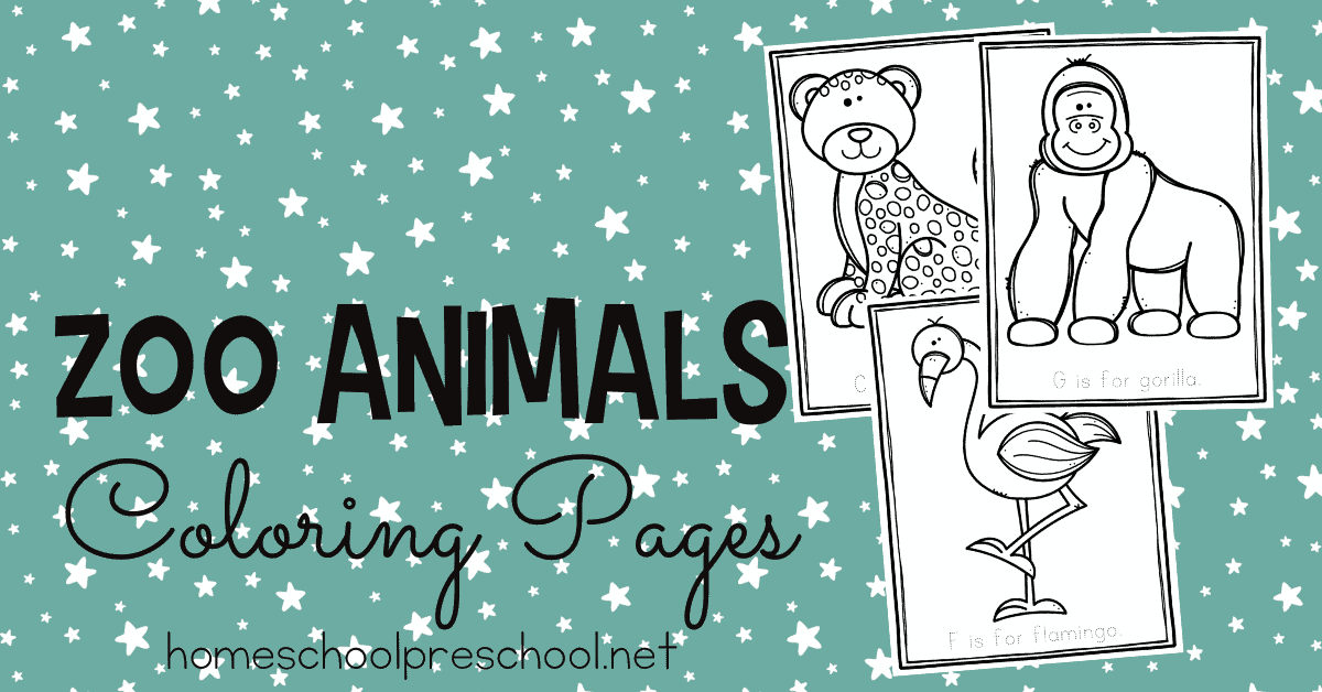 Printable zoo animal coloring pages for preschool