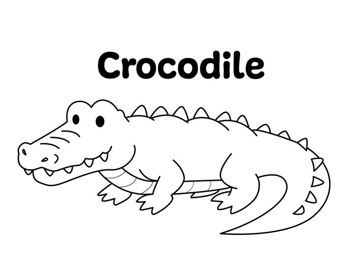 Crocodile coloring page zoo animal coloring pages zoo coloring pages zoo animals