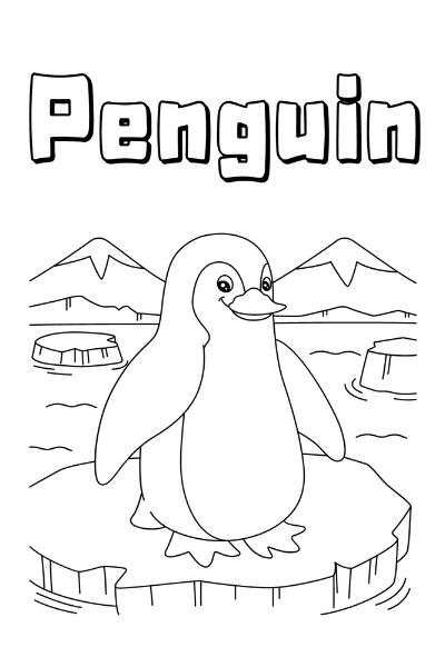 Zoo animal coloring pages