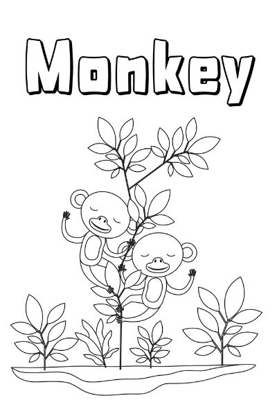 Zoo animal coloring pages