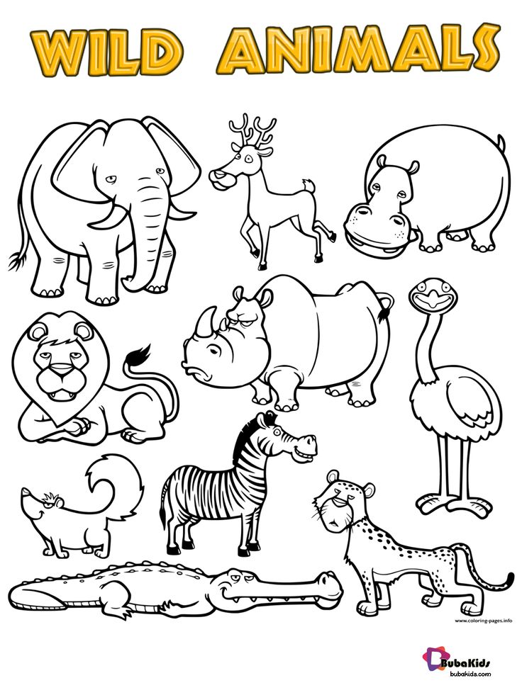 Free download wild animals printable coloring page collection of animal coloring pages for teenâ wild animals printable animals wild zoo animal coloring pages