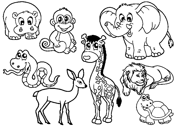 Zoo coloring pages printable for free download