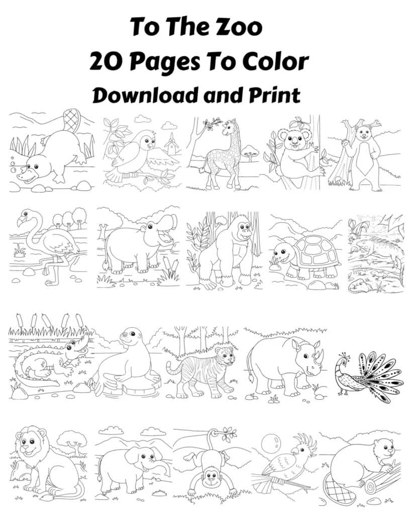 To the zoo coloring pageszoo animalszoo animals to colora trip to the zoo instant download